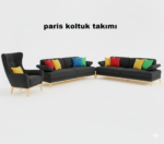 paris  koltuk takımı