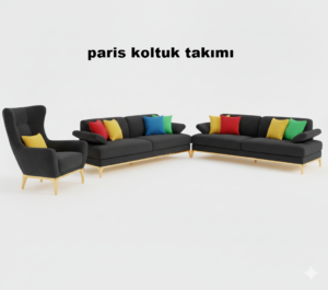 paris  koltuk takımı